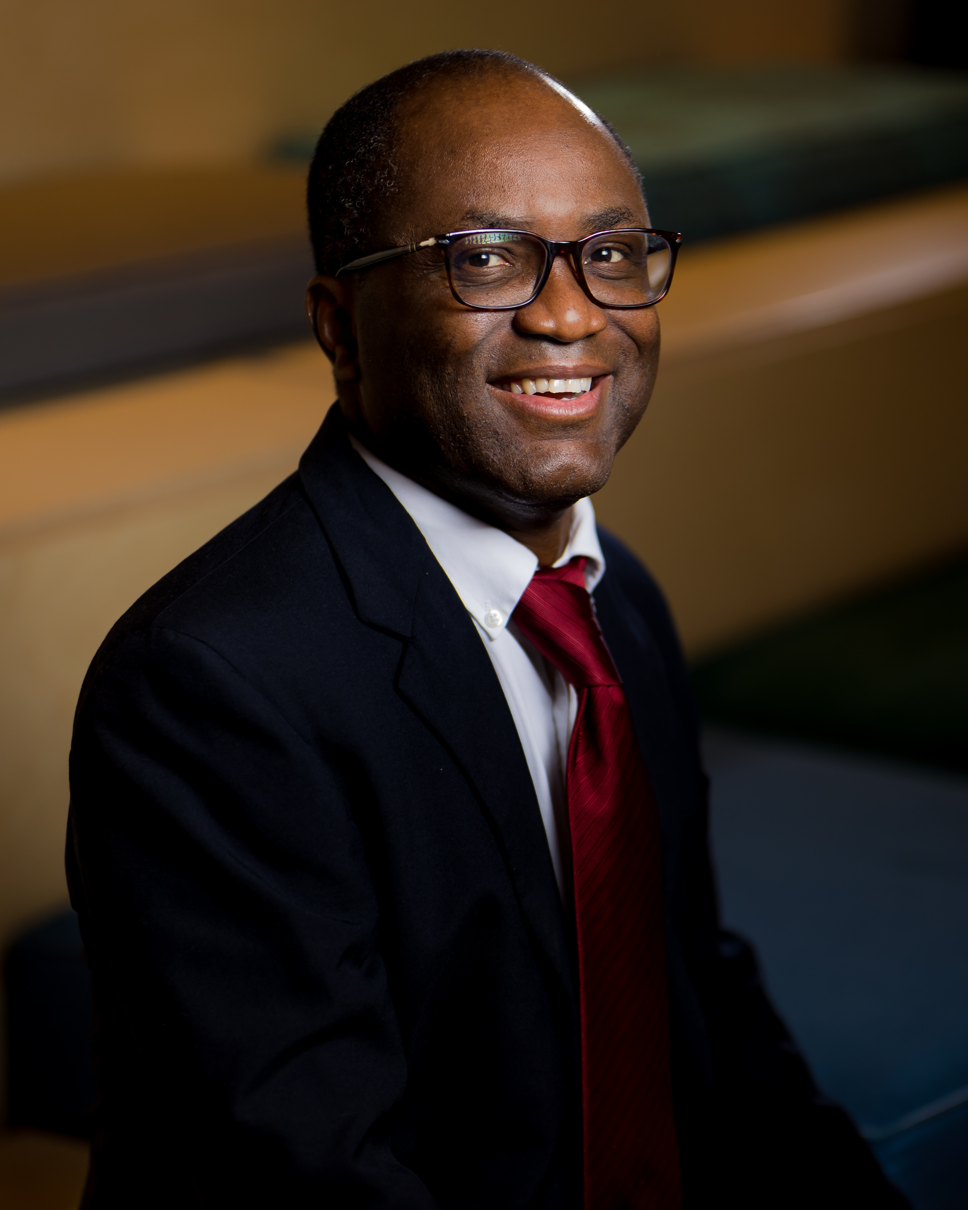Frank Agbogbo, Vice President of Process Development