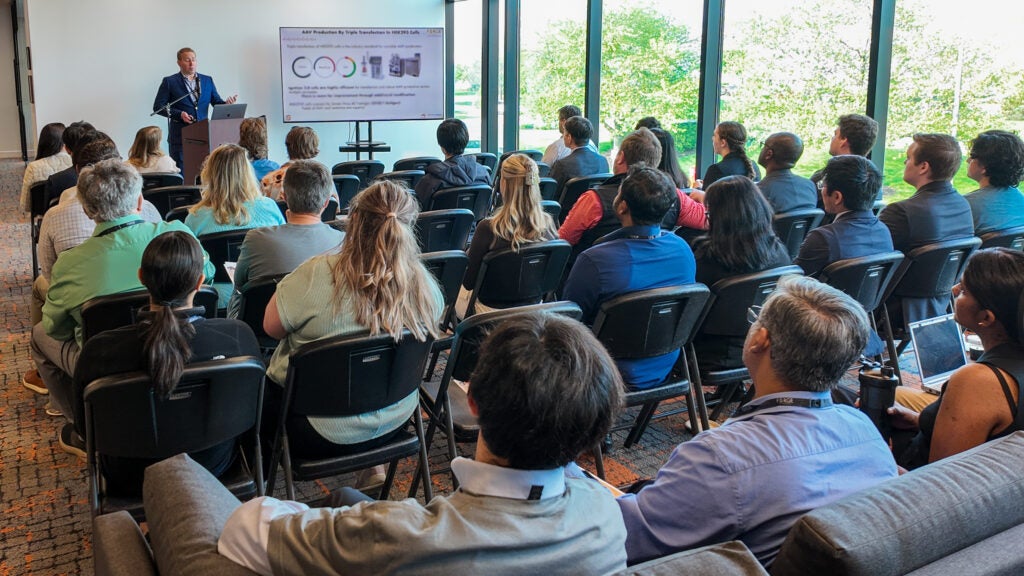 The team at Forge listening to a technical presentation by a colleague.